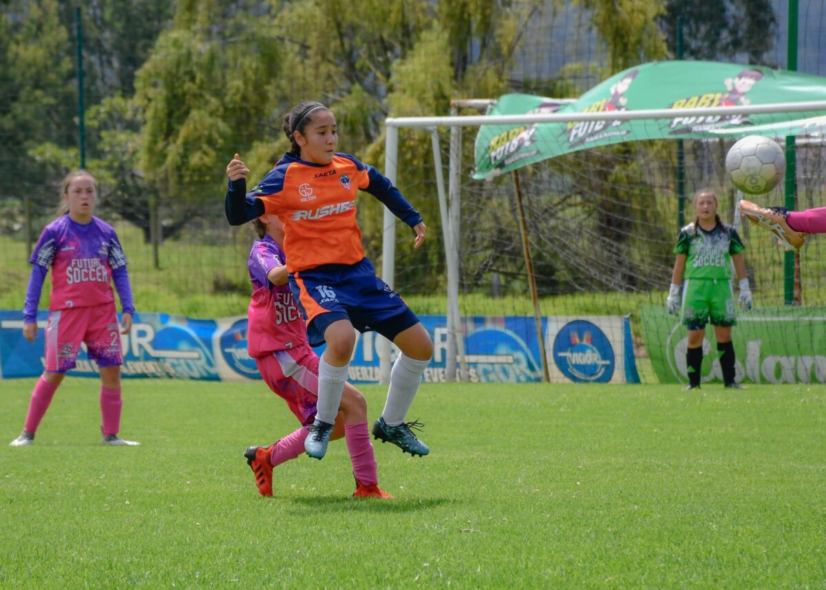 jeunes seniors féminines calendrier organisation scaab